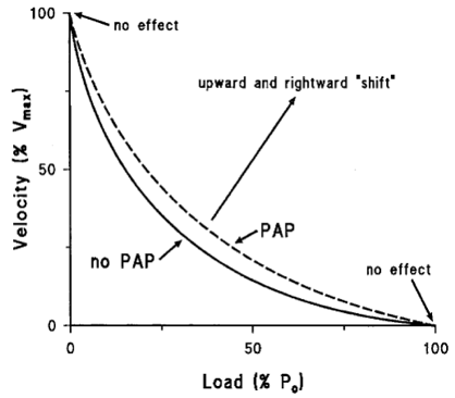 fv PAP.png