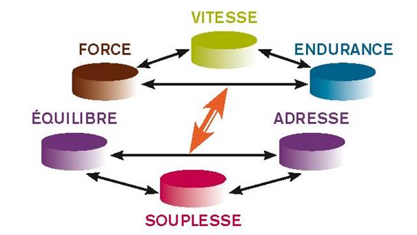 embedded-image-CcQ5iZJ0.jpeg